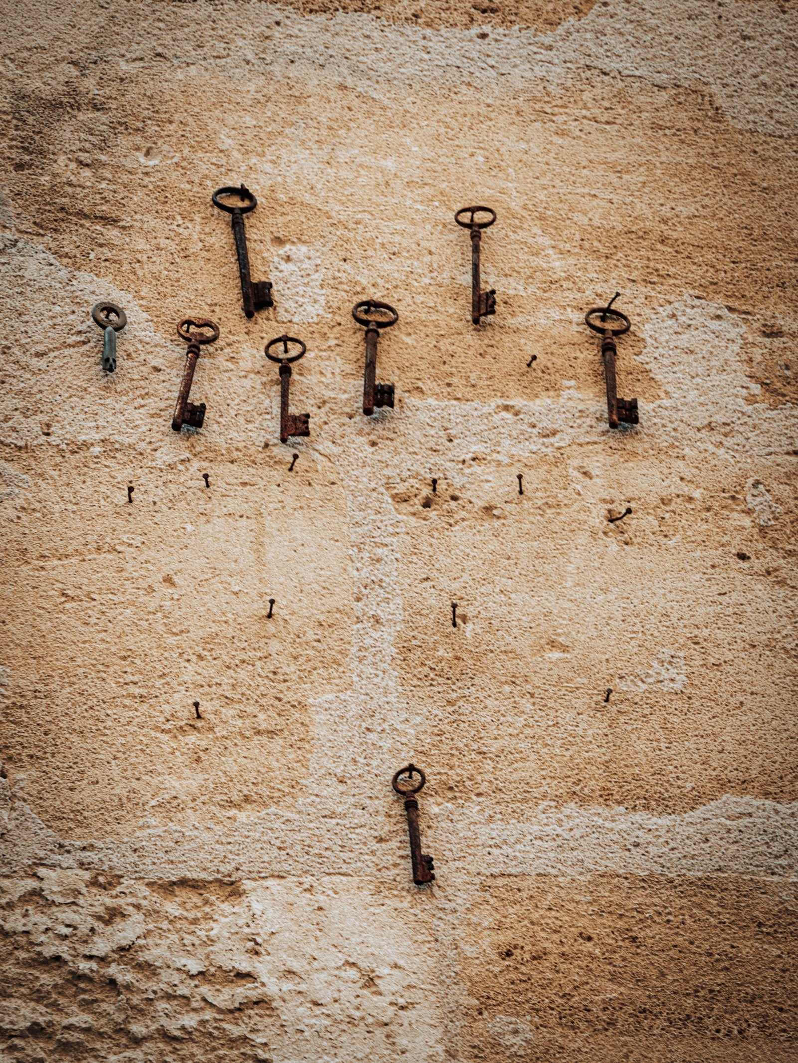 Charles Hassan Mobile Car Key — locksmith in Springfield, NE
