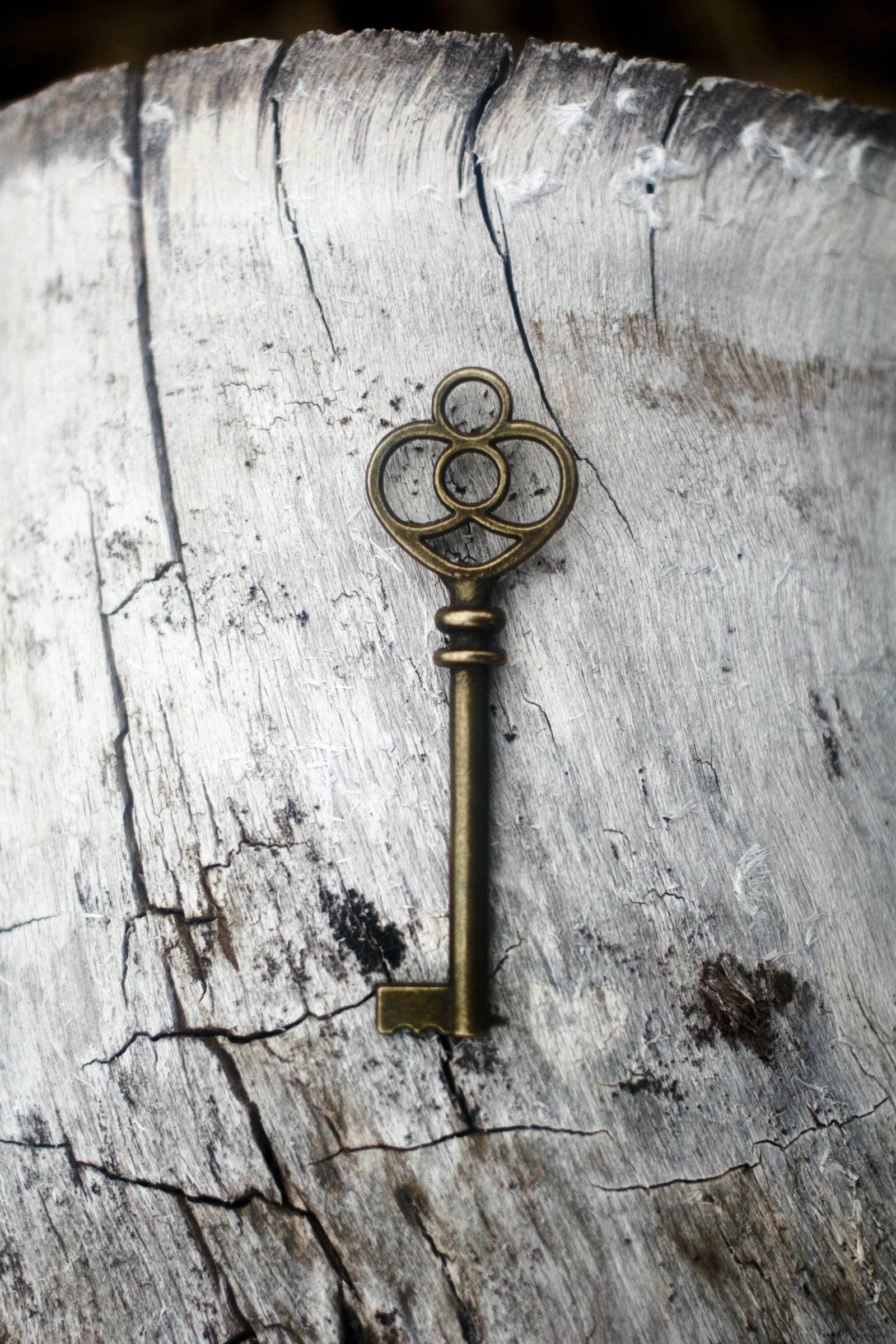 Leo Lock and Key Mobile — locksmith in Boca Raton, FL